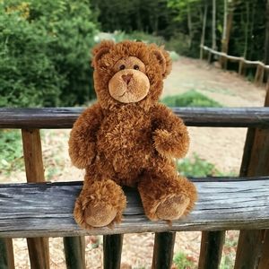 One of the Original Build a Bears, with Weighted Feet! 17" Shaggy Brown Bear